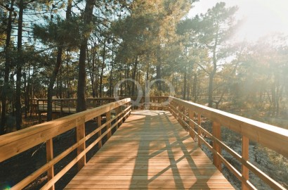 Beachside Condo in the Algarve