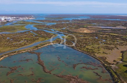 Luxury Semi-Detached Villas in Faro with Ria Formosa Views
