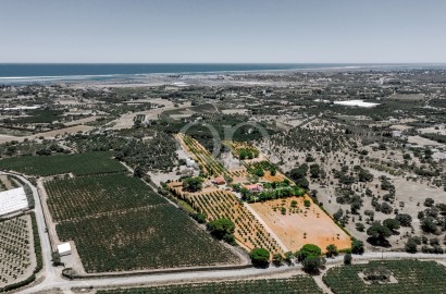 Exceptional Villa set on an Expansive Plot with Sea Views near Fuseta