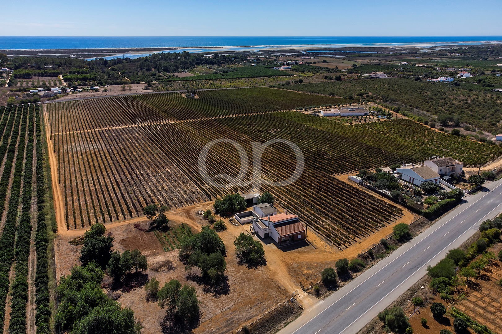 Vinha com projeto aprovado em Luz de Tavira - QP Savills