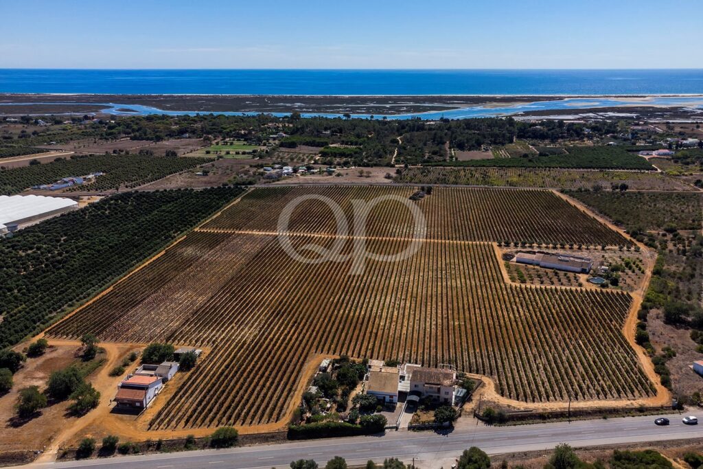 Vinha com projeto aprovado em Luz de Tavira - QP Savills