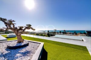 Modern rooftop terrace with a gnarled tree in a white pebble bed, glass railing, and bright sun over the ocean.