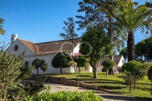 Grande Imóvel perto de Vale do Lobo - QP Savills