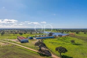 Estate with Great Potential in Baixo Alentejo - QP Savills