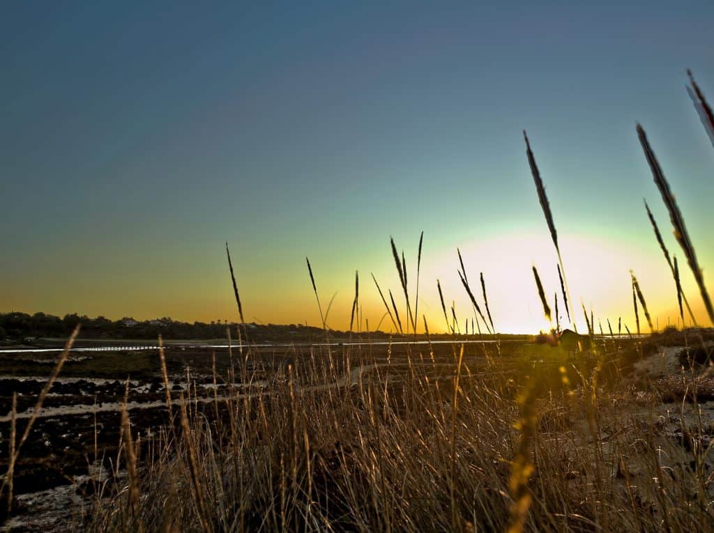 Explore Quinta do Lago