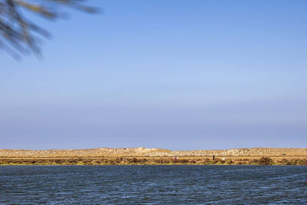 Explore Quinta do Lago