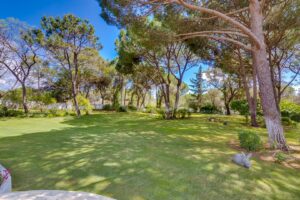 Sunny park-like backyard with large pine trees, green lawn, and a gray rabbit statue near a tree.