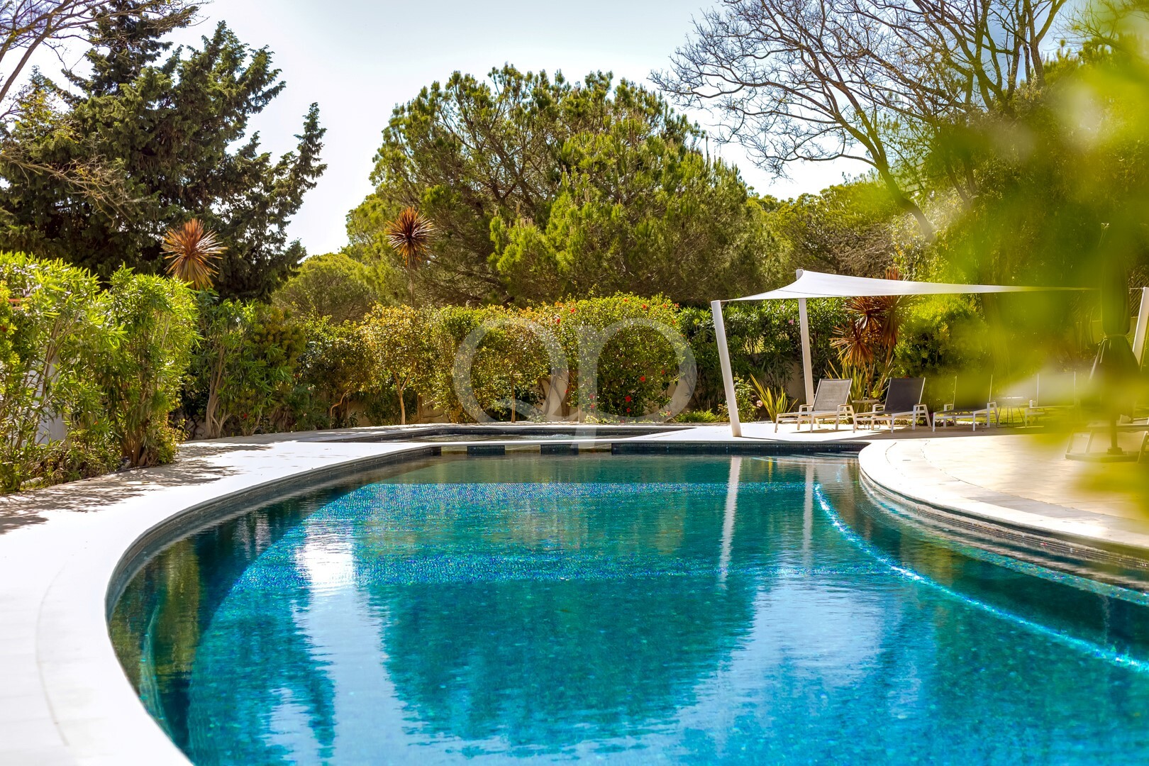 Curved swimming pool with crystal blue water, surrounded by greenery and lounge chairs under a shade canopy