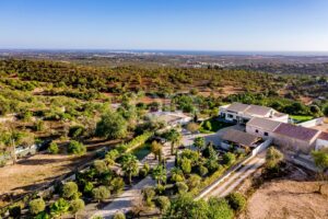 Aerial view of a ranch-style property with white houses, gravel driveway, and landscaped garden surrounded by olive trees and rolling hills, with the coastline on the horizon.