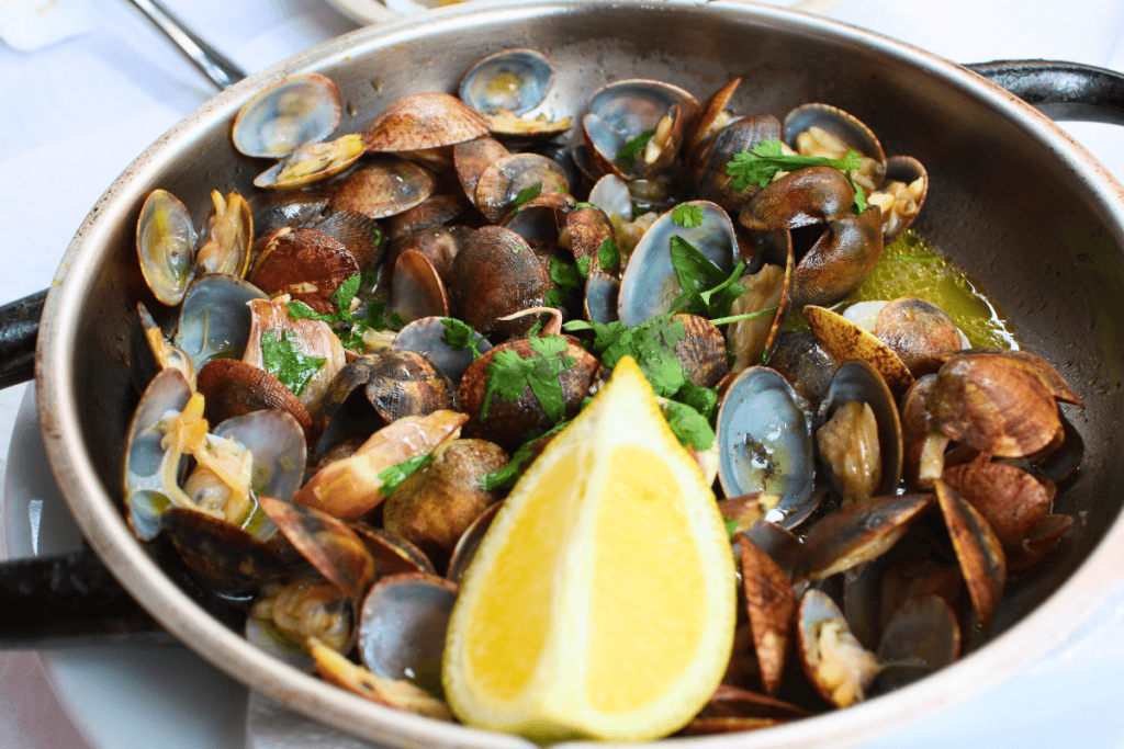 Explore Quinta do Lago