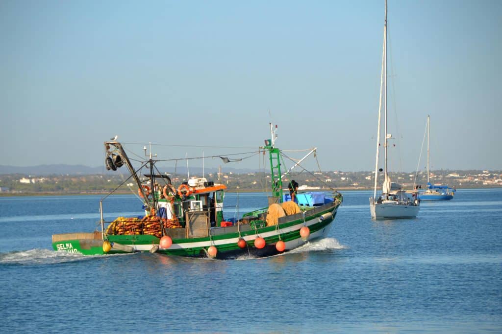 Explore East Algarve