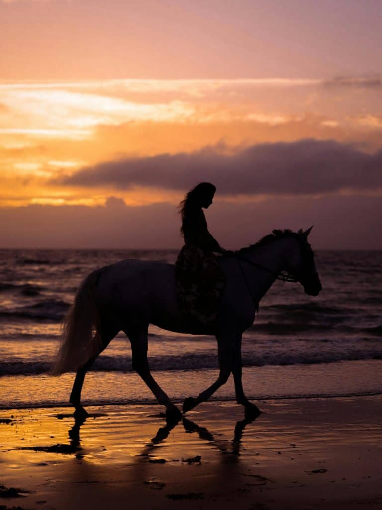 Gems - Sunset Ride by the Sea