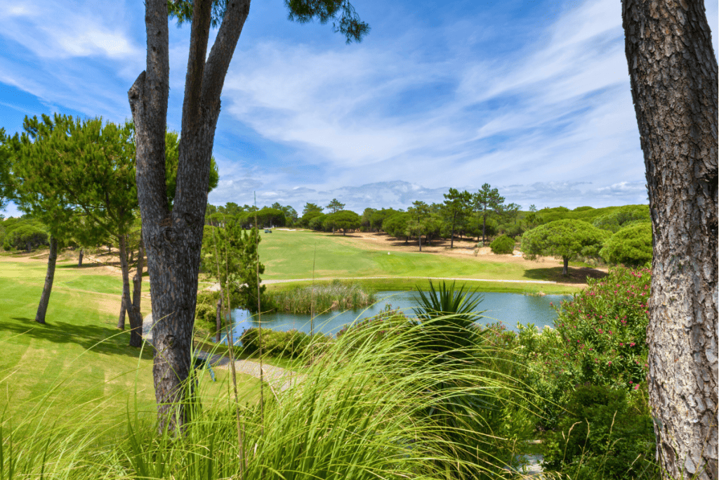 Explore Vilamoura