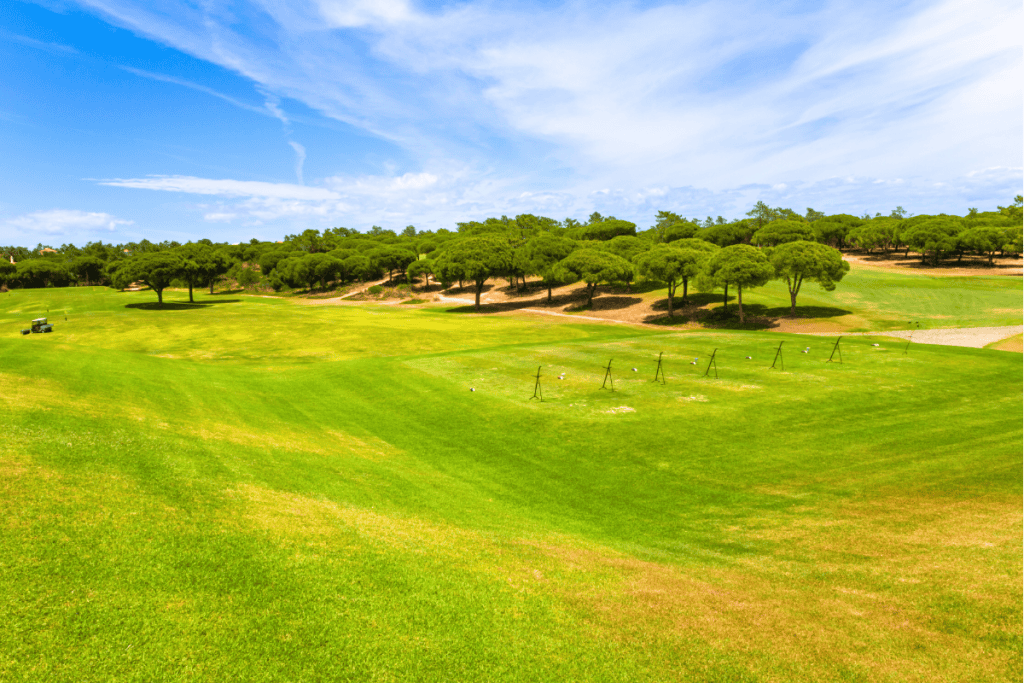 Explore Vilamoura