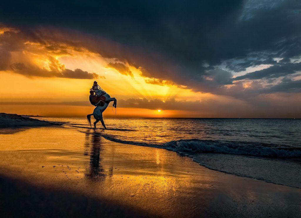 Explore Vilamoura