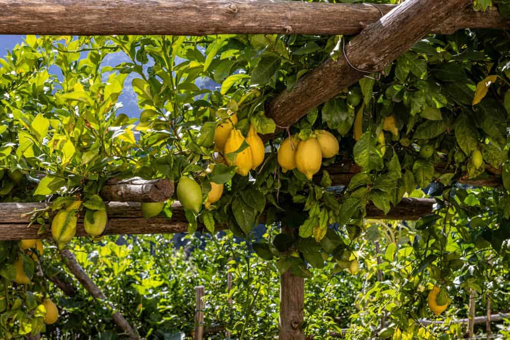 Explore East Algarve
