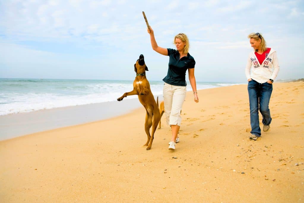 Explore Quinta do Lago