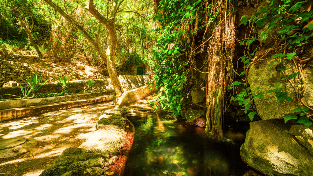 Explore West Algarve