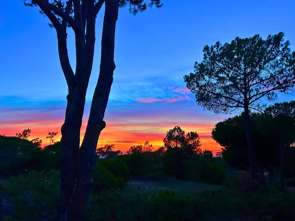 Sunset QdM