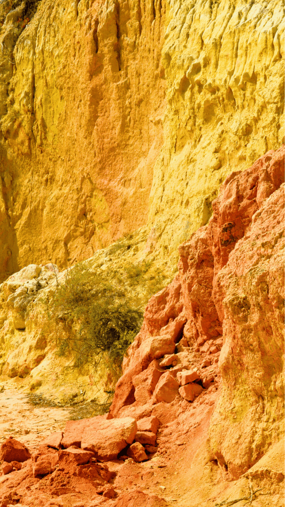 Explore Vale do Lobo
