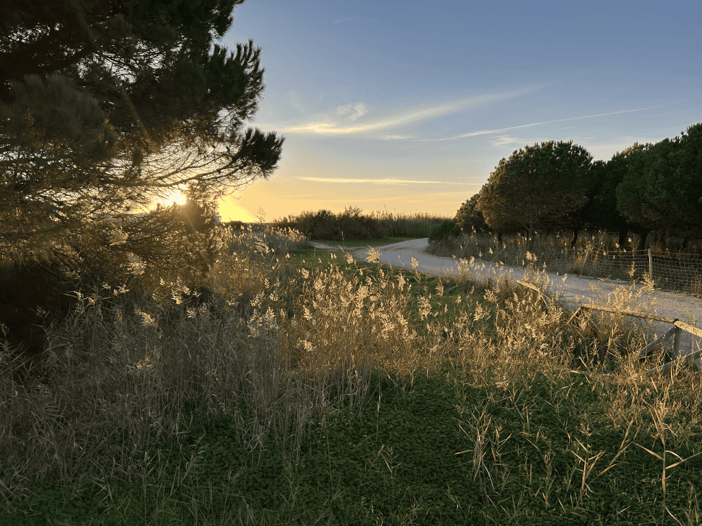 Explore Vilamoura