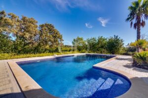 Outdoor rectangular blue swimming pool bordered by a tiled deck, with lush trees and a palm tree under a bright sky.