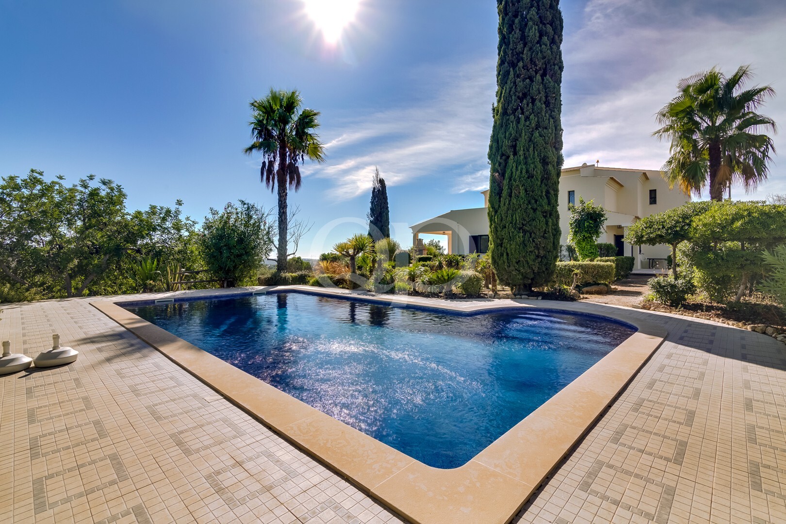 Sunny backyard with a rectangular blue pool, tiled deck, and palm trees near a white house landscaped with shrubs.