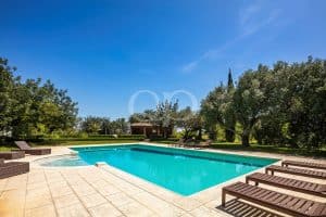 Unique Countryside Estate in Almancil, Algarve - QP Savills