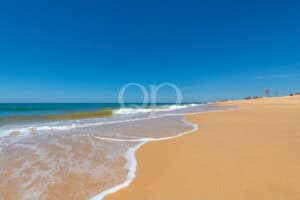 Excecional moradia à beira-mar na Ilha de Faro, Algarve - QP Savills