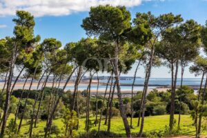 Excecional apartamento de assinatura em Palmares - QP Savills
