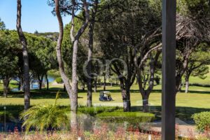 Golf cart on a sunlit golf course path, framed by tall trees with a pond visible to the left.