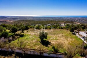 Ampla paisagem de encosta com campos verdes, árvores dispersas e, ao longe, a costa e o mar azul sob um céu límpido.