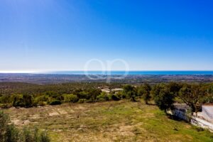 Ampla paisagem costeira com campos relvados, árvores dispersas e um mar azul ao longe, sob um céu azul límpido.
