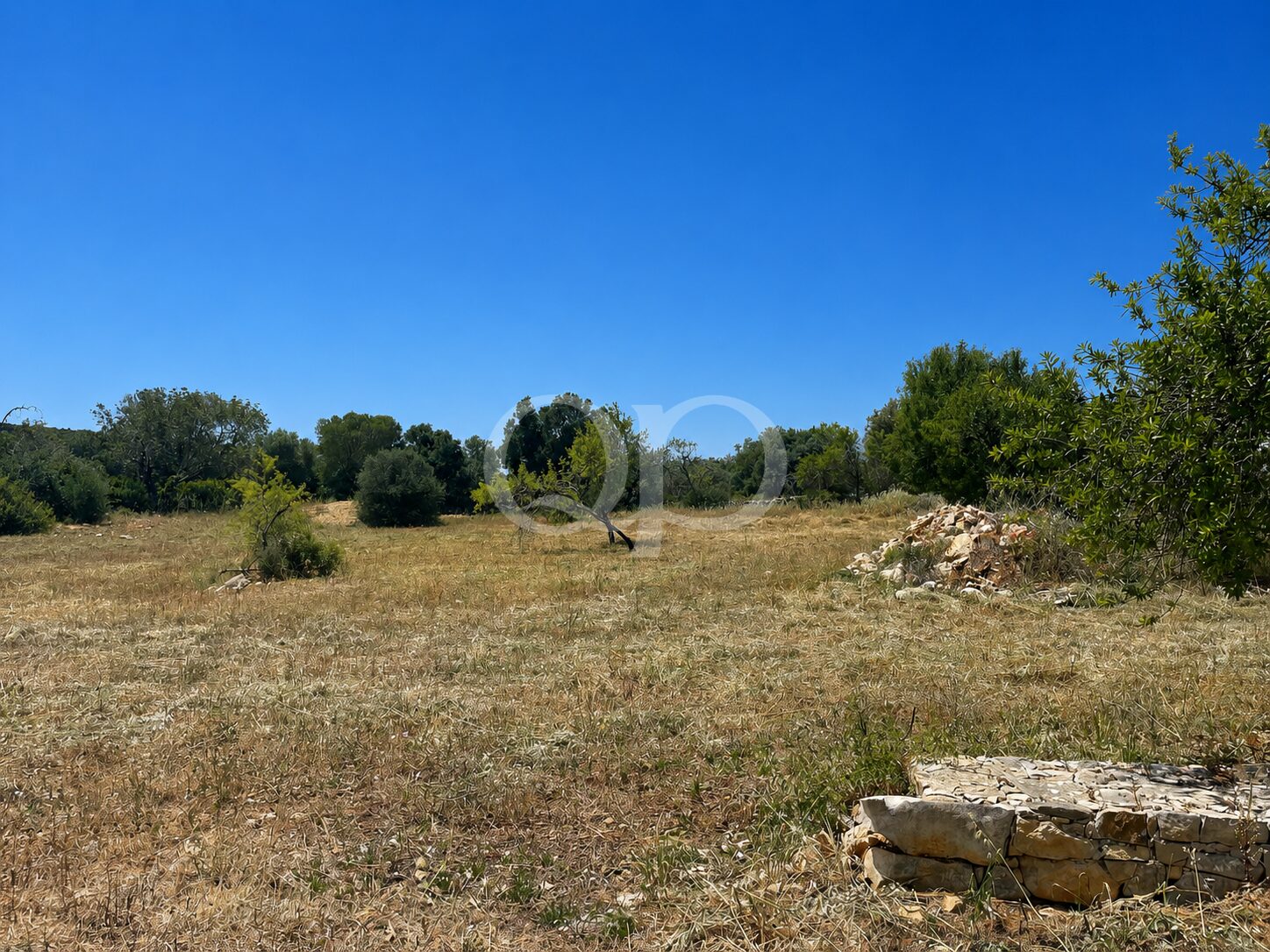 Ein trockenes, vergilbtes Feld mit vereinzelten Sträuchern und Bäumen unter einem strahlend blauen Himmel; in der rechten unteren Ecke liegt ein Steinhaufen.