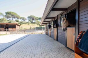 Horses peeking out of open stable stalls along a wooden barn with a paved path and hillside beyond.
