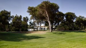 MONTE GOLF 05