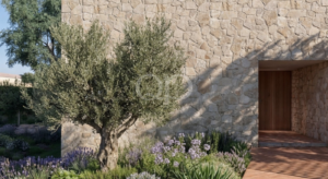 Terrain avec projet approuvé pour une villa contemporaine près de Vale do Lobo - QP Savills