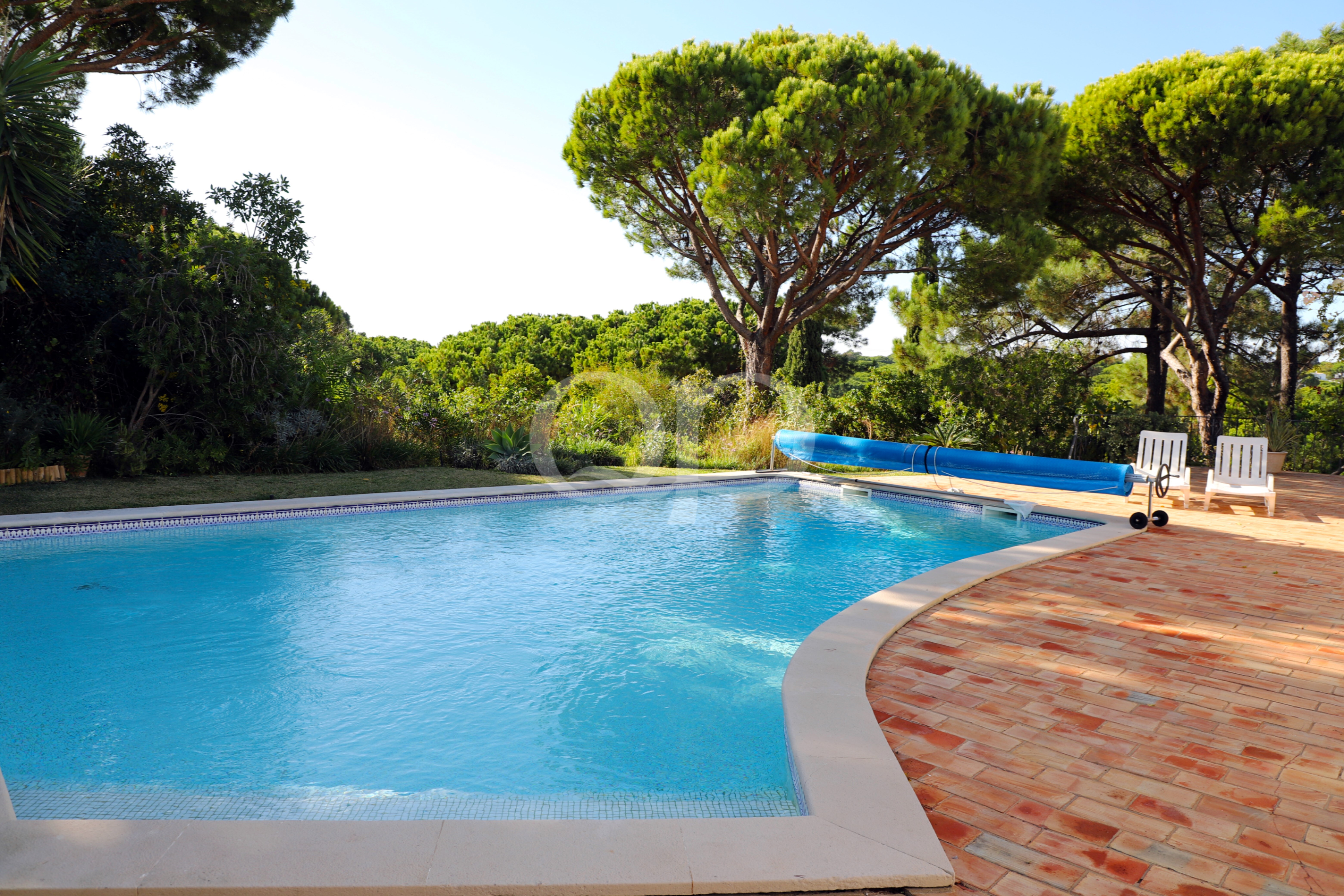 Scène en plein air au bord d'une piscine aux eaux bleues, avec une bâche enroulée et des transats blancs disposés sur une terrasse en briques, avec en arrière-plan des arbres verts sous un ciel dégagé.