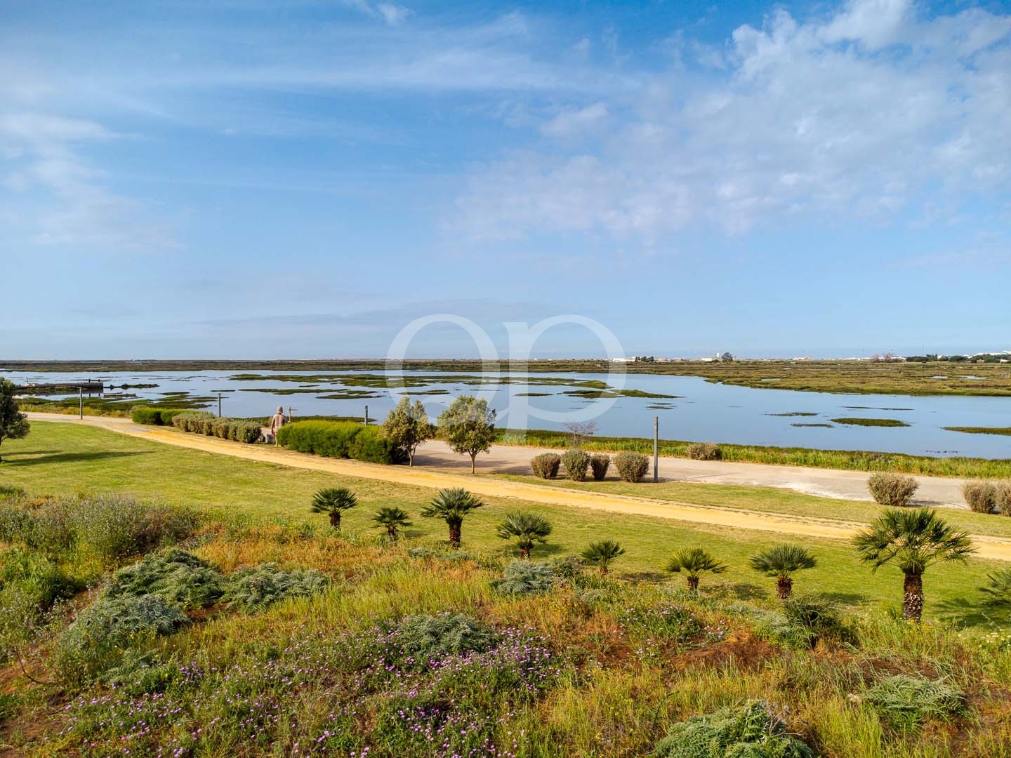 Estacione junto a um lago calmo com um caminho de terra batida, relvado verde, arbustos e casas distantes sob um céu azul.