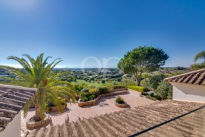 Terracotta-tiled roof and a landscaped terrace with a palm tree, overlooking green countryside under a bright blue sky.