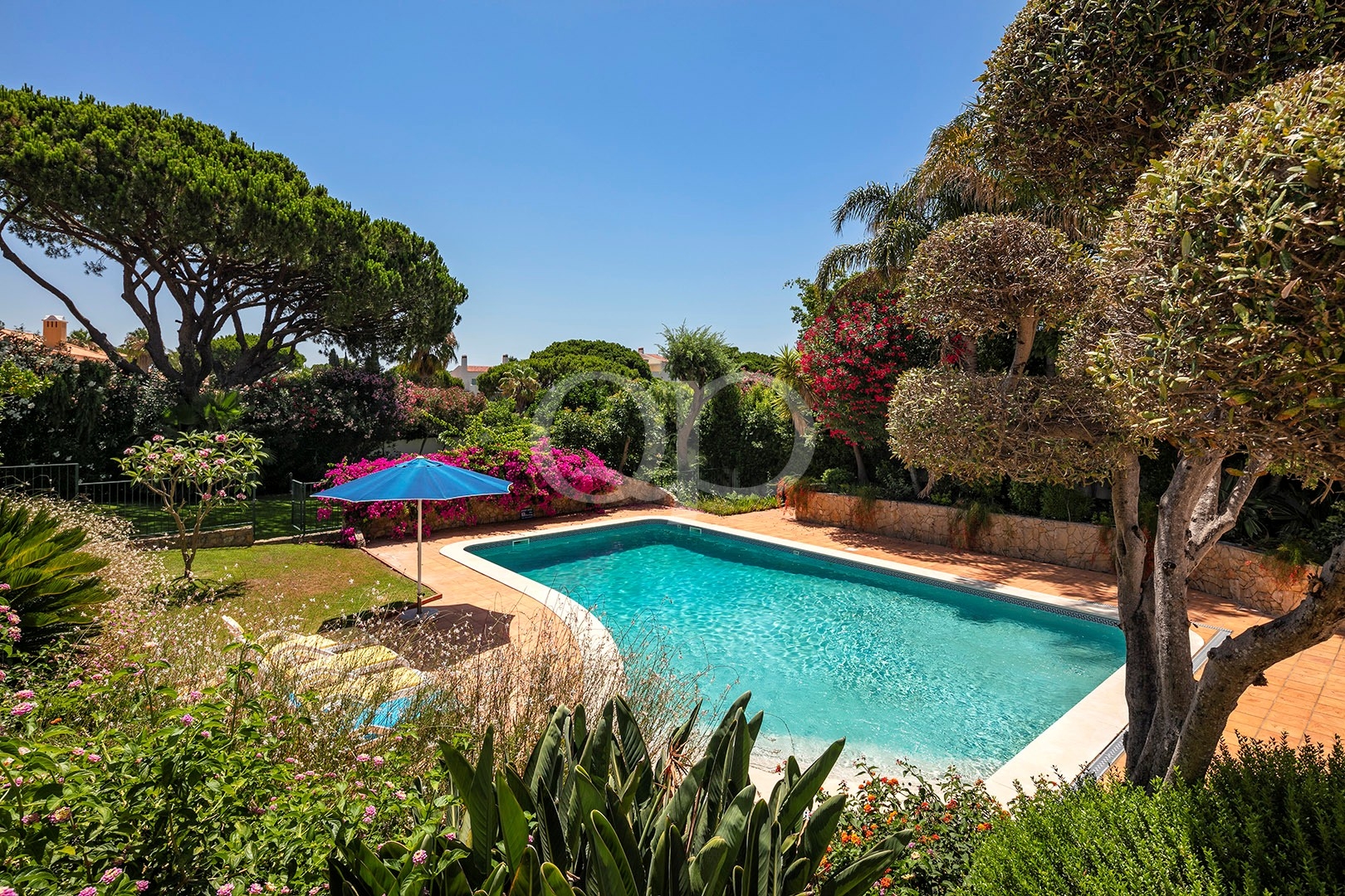 Rectangular turquoise pool in a sunny garden with a blue umbrella shading a lounging area, surrounded by lush shrubs and trees.