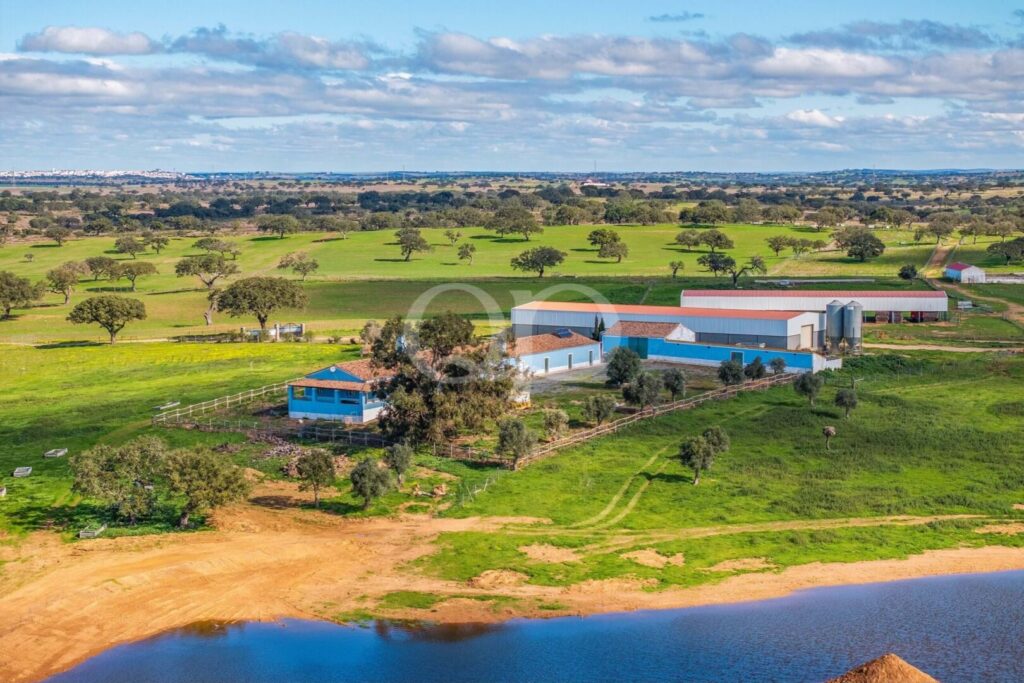 Aerial view of rural estate surrounded by open fields and mature trees