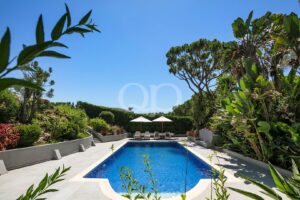 Privater Pool mit gepflegten Gärten