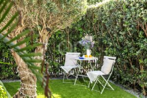 Garden chairs surrounded by mature greenery