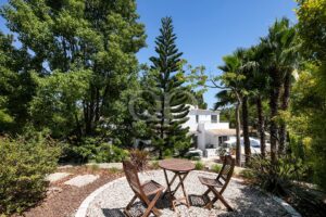 White Algarve villa framed by palm trees