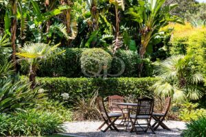 Secluded seating surrounded by tropical planting