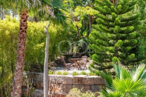 Secluded garden seating surrounded by tropical planting