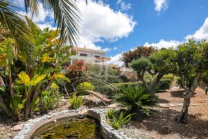 Landscaped gardens with mature tropical planting