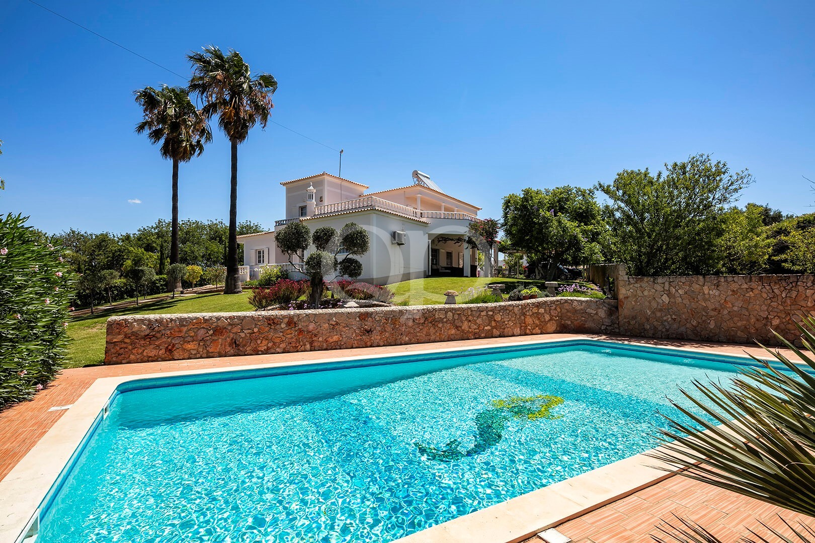 Luxurious expansive pool featured in a lush garden of a traditional Algarvian house