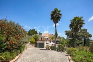 Villa entrance with palm trees and landscaped approach